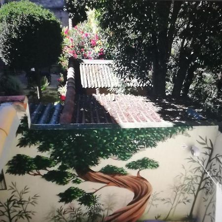 Suite Farniente Avec Patio Et Clim Montpellier Eksteriør bilde